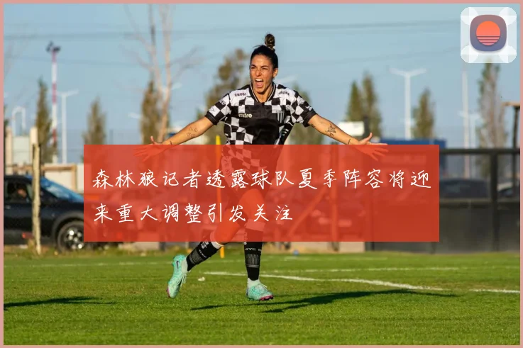 森林狼记者透露球队夏季阵容将迎来重大调整引发关注