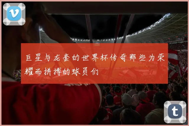 巨星与龙套的世界杯传奇那些为荣耀而拼搏的球员们