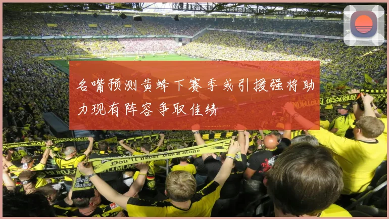 名嘴预测黄蜂下赛季或引援强将助力现有阵容争取佳绩